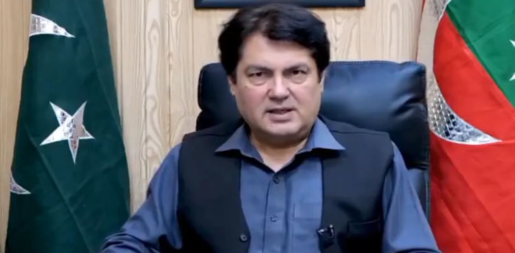 پاکستان اپنے دفاع پر کوئی سمجھوتا نہیں کرے گا: بیرسٹر سیف