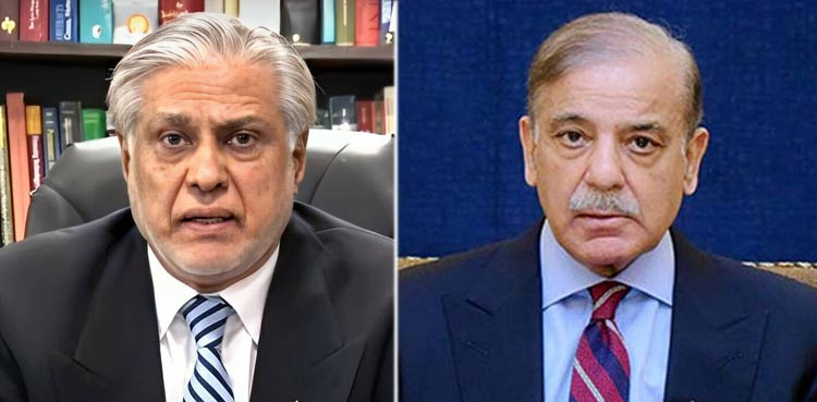 عافیہ صدیقی کی رہائی، وزیراعظم اور وزیر خارجہ کے بیرون ممالک دوروں کی تفصیلات طلب