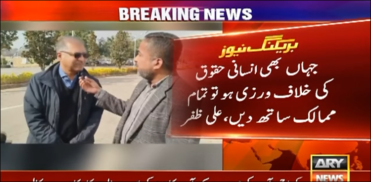 پاکستان میں ہونے والی انسانی حقوق کی خلاف ورزی پر امید ہے امریکا ساتھ دے گا، علی ظفر