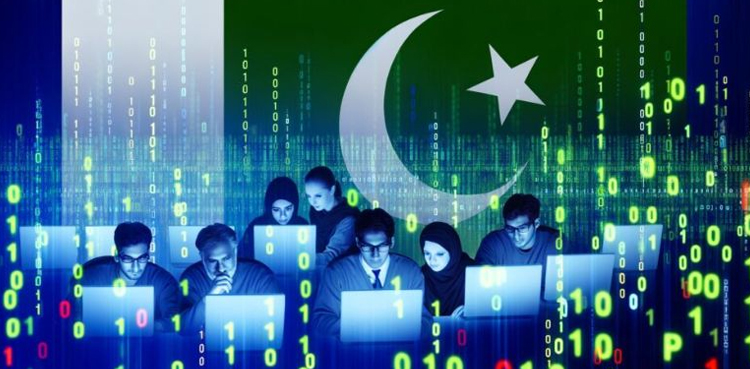 سینیٹ  میں ڈیجیٹل نیشن پاکستان بل 2025  کثرت رائے سے منظور