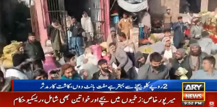 گوبھی