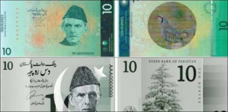 نئے کرنسی نوٹ کیسے نظر آتے ہیں؟