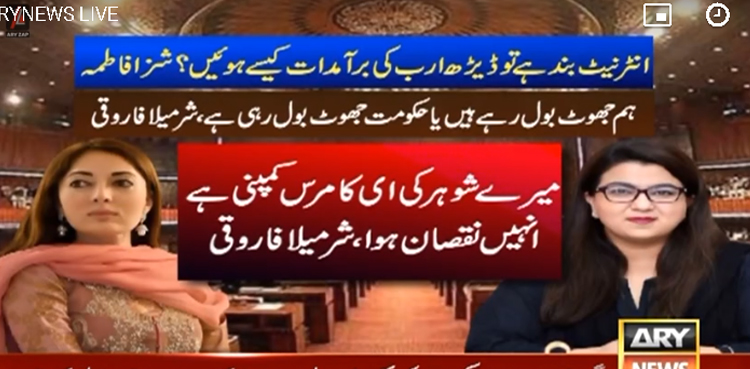 انٹرنیٹ سلو ہونے سے شوہر کو نقصان ، شرمیلا فاروقی شزہ فاطمہ پر برہم