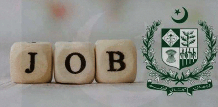 سیکڑوں سرکاری نوکریوں کا اعلان، درخواست کیسے دیں؟