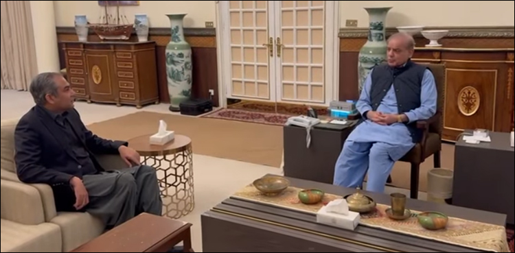 امریکا سے واپسی پر محسن نقوی کی وزیر اعظم شہباز شریف سے ملاقات