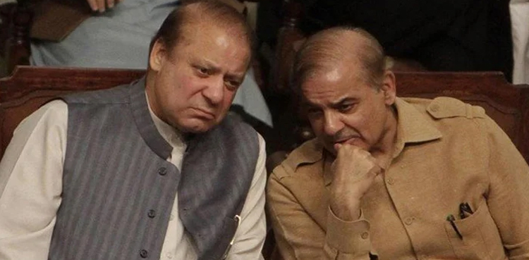 پی ٹی آئی سے مذاکرات : نواز شریف کی شہباز شریف کو اہم ہدایات