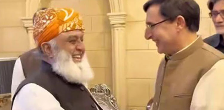 پی ٹی آئی وفد اور مولانا فضل الرحمان کی ملاقات طے پاگئی