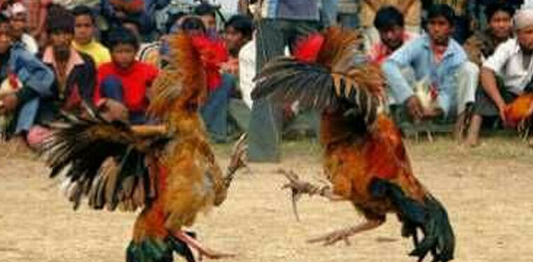 مخالف کے مرغے کی تعریف، ملزم نے لڑکے کی آنکھ ضائع کردی