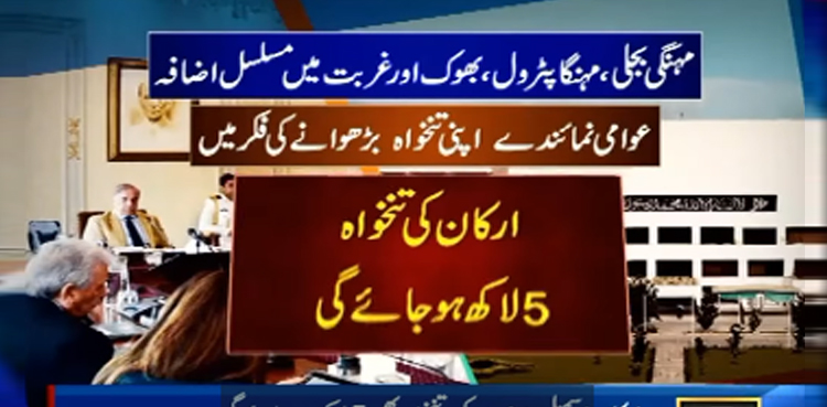 عوام کے مسائل کم کرنے کے بجائےعوامی نمائندے  کو اپنی تنخواہ بڑھوانے کی فکر
