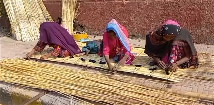 سرکنڈوں سے بنی دل کش چٹائیوں کی مانگ میں اضافہ، ویڈیو رپورٹ