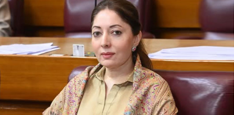 ’ایسے کون سے تھریٹ ہیں، انٹرنیٹ کے ذریعے کون سے حملے ہورہے ہیں؟‘
