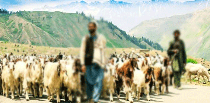 چرواہے اور تسبیح کے دانے