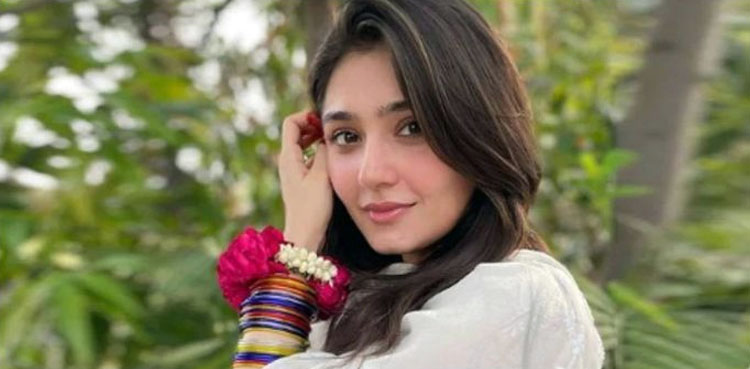 درِفشاں سلیم کی پہاڑوں کے دلکش مناظر کے ساتھ تصاویر وائرل
