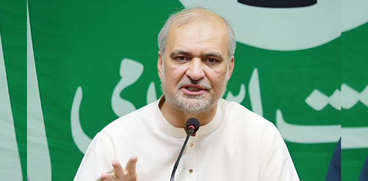 ہر حکومت نے آئی پی پیز کو سپورٹ کیا، وزیر اعظم فرانزک آڈٹ کروائیں، حافظ نعیم