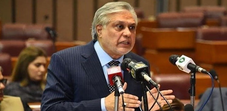 دہشت گردی بڑا چیلنج، پُرامن افغانستان خطے کے مفاد میں، نائب وزیراعظم کا سلامتی کونسل میں خطاب