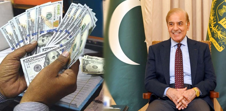 اوورسیز پاکستانیوں کی محنت سے ترسیلاتِ زر میں 30 فیصد اضافہ ہوا، وزیراعظم