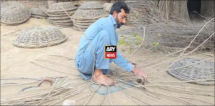 شہتوت کی ٹہنیوں پر ہنر کا استعمال، اچھا کاروبار، اچھا منافع (ویڈیو رپورٹ)