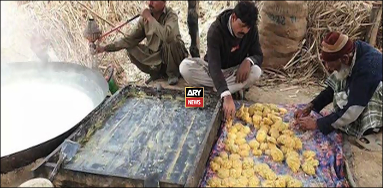 گنے کی فصل سے اچھی آمدنی، ویڈیو رپورٹ