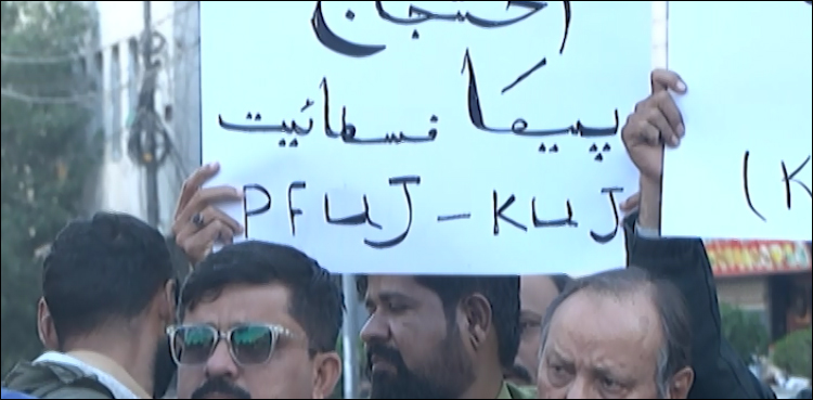 پیکا ایکٹ میں نئی ترمیم انسانی حقوق کے منافی کیسے ہے؟ ویڈیو رپورٹ