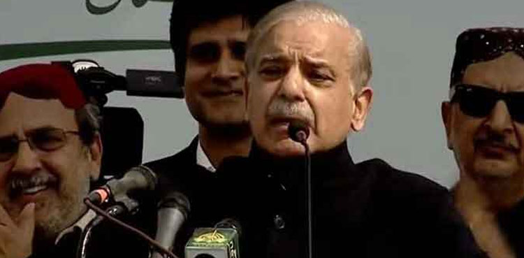 بھارت کو پیچھے نہ چھوڑا تو میرا نام شہباز شریف نہیں، وزیراعظم