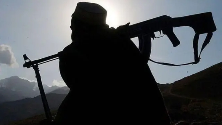 پاکستان میں دہشتگرد حملے بڑھنے کی وجہ ٹی ٹی پی کو افغان طالبان کی مسلسل مدد ہے، یو این رپورٹ میں انکشاف
