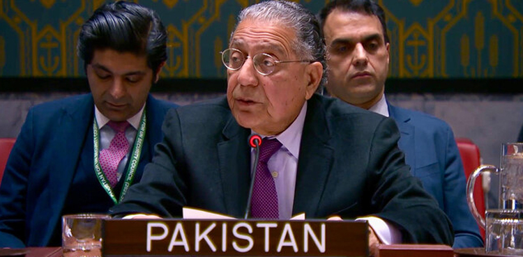 پاکستان کا ٹی ٹی پی اور مجید بریگیڈ کی دہشت گردی کے خلاف عالمی اقدام کا مطالبہ