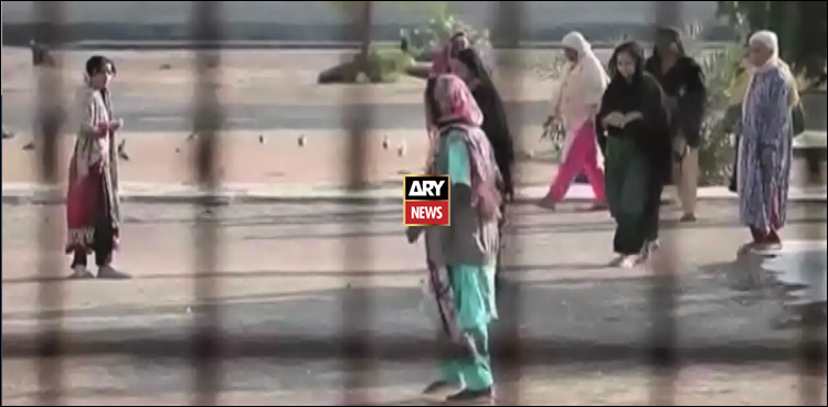 2024 میں خواتین پر تشدد کے حوالے سے تشویش ناک ویڈیو رپورٹ