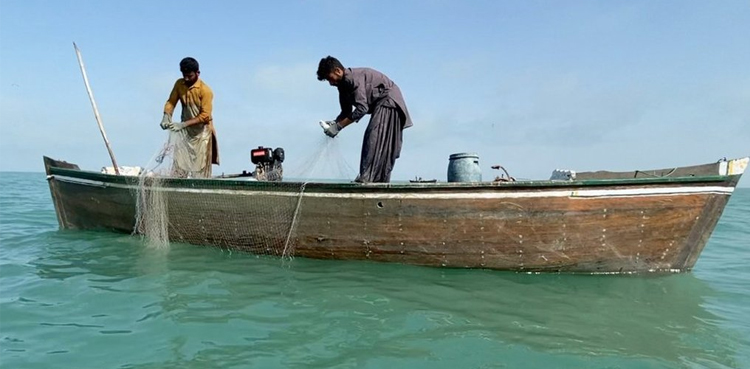 ماہی گیروں کیلیے ’ماہی گیر کارڈ‘ کے اجرا سے متعلق قرارداد منظور