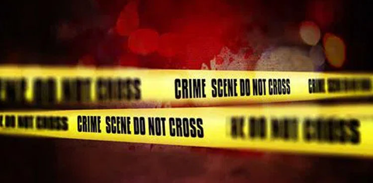 جائیداد کا لالچ، درندہ صفت بیٹے نے ماں کو مار ڈالا
