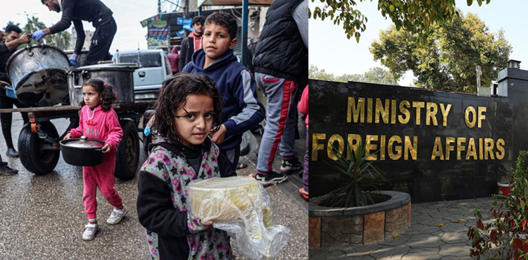 غزہ کو امداد سے محروم کرنا اسرائیل کا ظالمانہ اقدام ہے، پاکستان