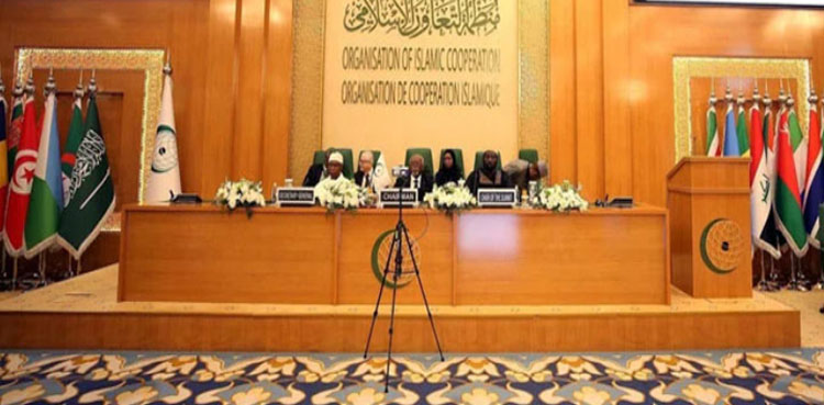 او آئی سی کا ہنگامی اجلاس،  فلسطینی عوام کی جبراً نقل مکانی کے بیانات مسترد
