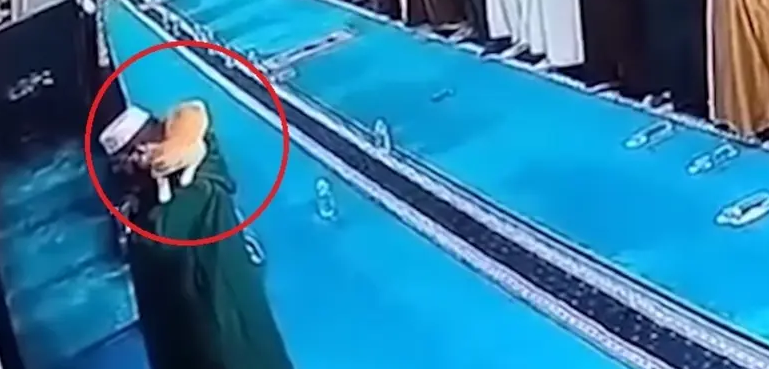وائرل ویڈیو: ’’ایک اور بلی مشہور‘‘ دوران نماز امام مسجد کے کاندھے پر چڑھ گئی