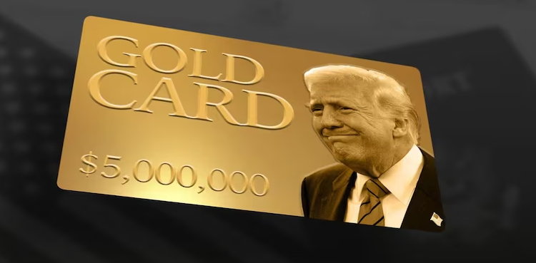 ٹرمپ کی’گولڈ کارڈ‘ ویزا اسکیم، 1 دن میں 1000 کارڈز فروخت
