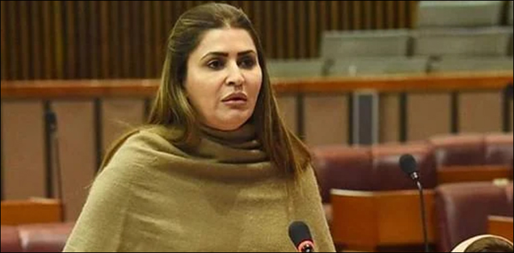 پیپلز پارٹی نے نئی متبادل توانائی پالیسی مسترد کر دی