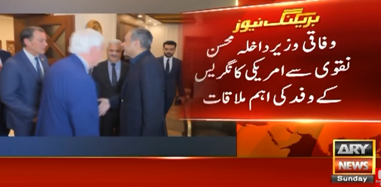 وزیر داخلہ محسن نقوی سے امریکی کانگریس کے وفد کی اہم ملاقات