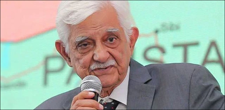 تاج حیدر کہاں پیدا ہوئے؟ ابتدائی تعلیم کس اسکول سے حاصل کی؟