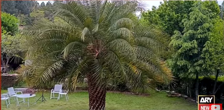بیوی سے محبت