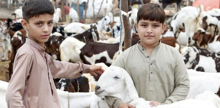 عید الاضحیٰ کب ہوگی؟ مرکزی رویت ہلال کمیٹی کا اجلاس آج ہوگا