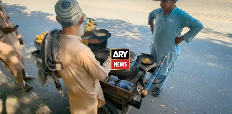 یہ کہانی ہے گل داد بابا کی! ویڈیو دیکھیں
