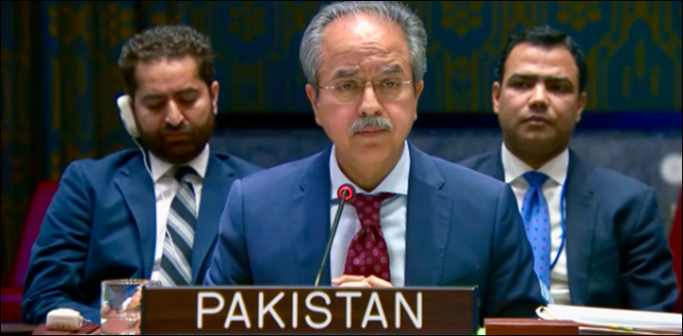 پناہ گزینوں کے میزبان ممالک کو گرانٹس دی جائے، پاکستانی مندوب کا مطالبہ