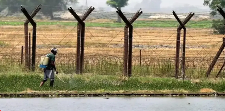جنگی جنون میں مبتلا بھارت کی کسانوں کو فصل کی کٹائی کے لیے 2 روز کی مہلت