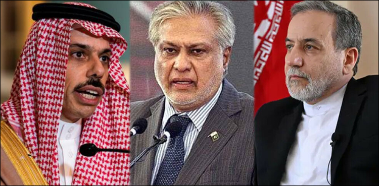 نائب وزیر اعظم نے سعودی و ایرانی وزرائے خارجہ کو قومی سلامتی کمیٹی کے فیصلوں سے آگاہ کیا
