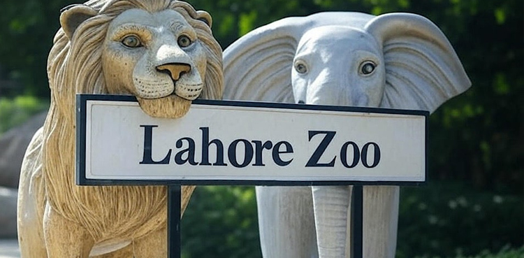 لاہور کے چڑیا گھر میں گرمی سے جانور مرنے لگے