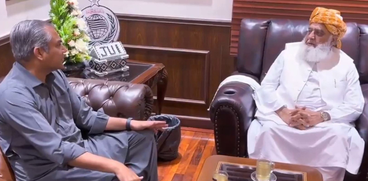 محسن نقوی کی فضل الرحمان سے ملاقات، بھارتی اقدامات کیخلاف فیصلوں پر اعتماد میں لے لیا