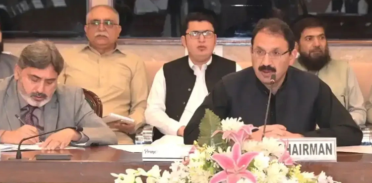 جنید اکبر نے پبلک اکاؤنٹس کمیٹی