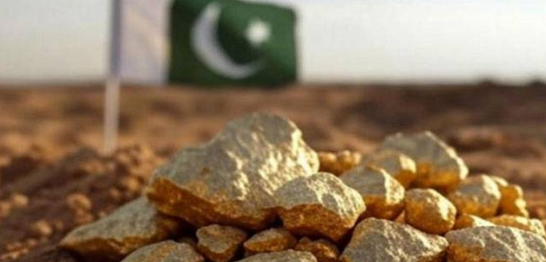 ’غیر ملکی سرمایہ کاروں کو پاکستان میں چھپے خزانے دریافت کرنے کے بہترین مواقع فراہم کیے جائیں گے‘