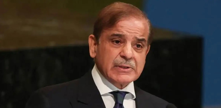 وزیراعظم  کی بھارت کو پہلگام واقعے کی غیرجانبدارانہ تحقیقات میں تعاون کی پیشکش
