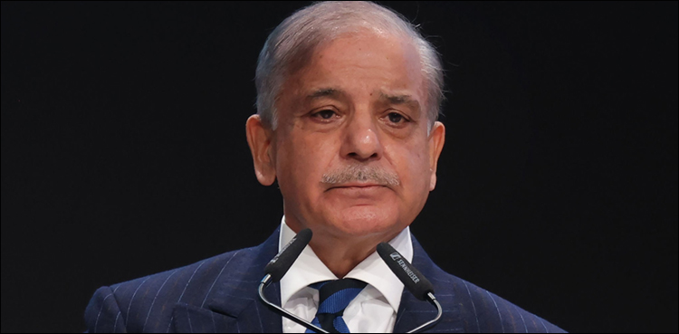 مغرب ماحولیاتی آلودگی سے نمٹنے کیلیے پاکستان کی مدد کرے، وزیراعظم