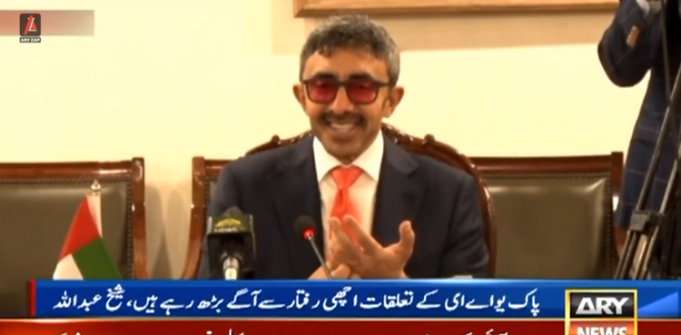 شیخ عبداللہ بن زاید النہیاں