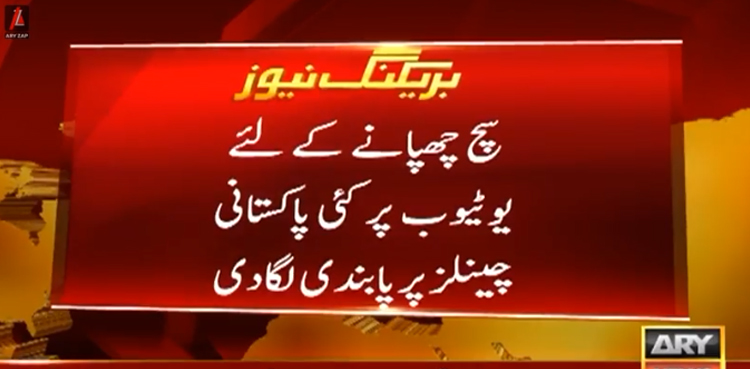 16 پاکستانی یوٹیوب چینلز